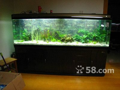 巴南哪里有魚缸賣：巴南區內魚缸銷售