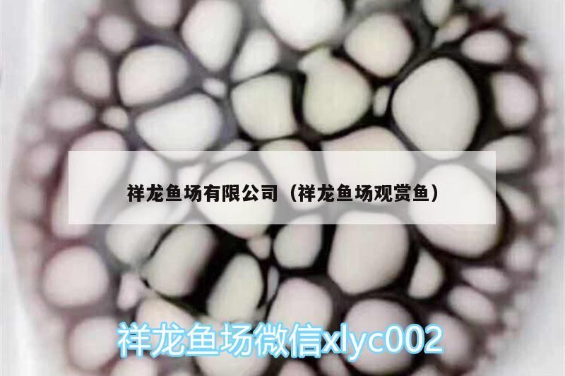 祥龍魚場有限公司（祥龍魚場觀賞魚）