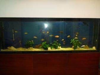 大興賣魚(yú)缸的地方在哪里：北京大興通州名亨魚(yú)缸定做