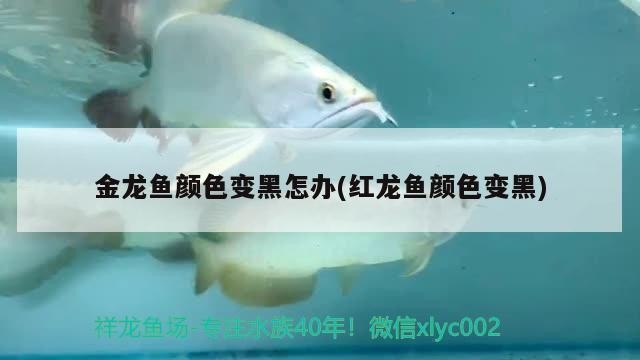 魚缸里放海沙有什么用，魚缸里放沙子對魚缸有好處嗎，魚缸里放沙子有什么用 魚缸里放海沙有什么用，魚缸里放沙子對魚缸有好處嗎，魚缸里放沙子有什么用 魟魚百科 第1張