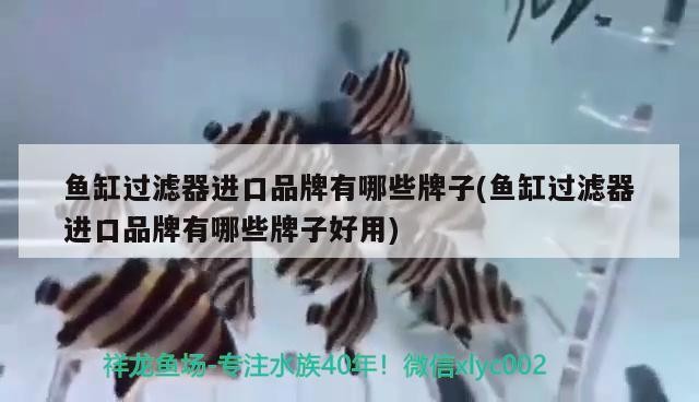 魚缸過濾器進(jìn)口品牌有哪些牌子(魚缸過濾器進(jìn)口品牌有哪些牌子好用)