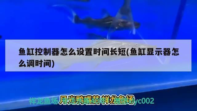魚缸控制器怎么設(shè)置時(shí)間長短(魚缸顯示器怎么調(diào)時(shí)間)