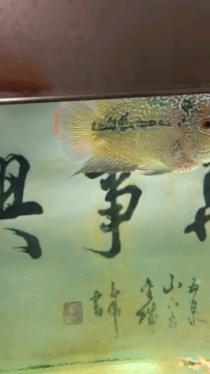 怎么回事？