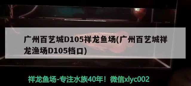 廣州百藝城D105祥龍魚(yú)場(chǎng)(廣州百藝城祥龍漁場(chǎng)D105檔口)