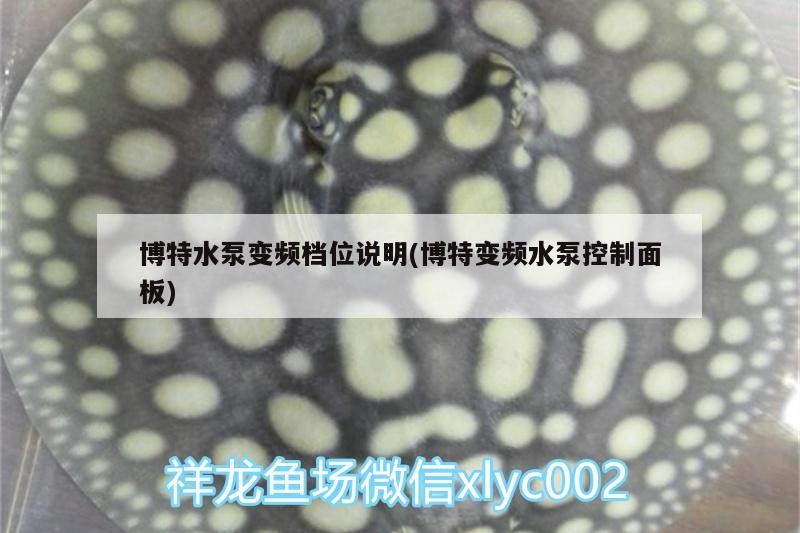 詳細(xì)閱讀:博特水泵變頻檔位說明(博特變頻水泵控制面板) 博特水泵變頻檔位說明(博特變頻水泵控制面板)