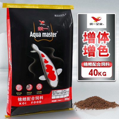 賽級金魚多少錢 賽級金魚多少錢 龍魚百科 第5張