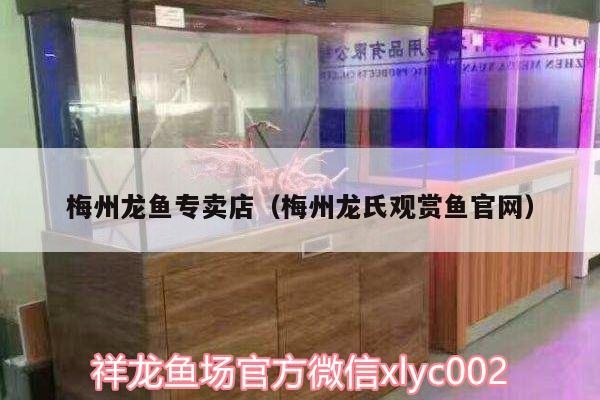 梅州龍魚專賣店（梅州龍氏觀賞魚官網）