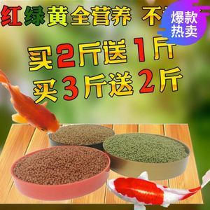 給龍魚吃的小魚是什么魚做的