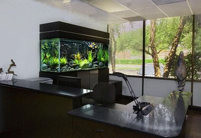 辦公室魚缸放哪里風水好：辦公室魚缸擺放風水