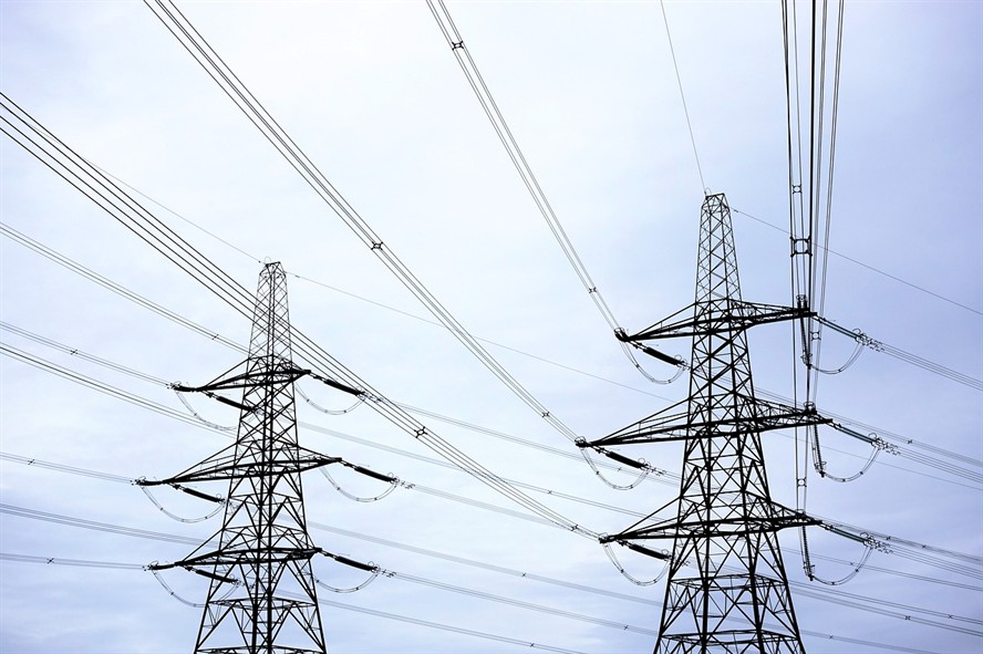 祥龍魚場電魚需要哪些裝備電魚需要哪些裝備