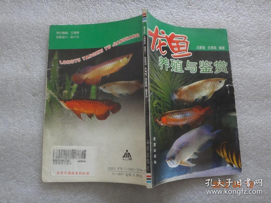 龍魚的鑒賞標(biāo)準(zhǔn)9方面