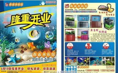 森森水族的東西怎么樣：森森水族的東西怎么樣，森森水族產品質量的評估正面評價