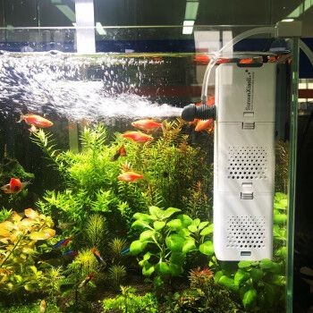 便宜好用的魚缸過濾器品牌：魚缸過濾器品牌排行榜