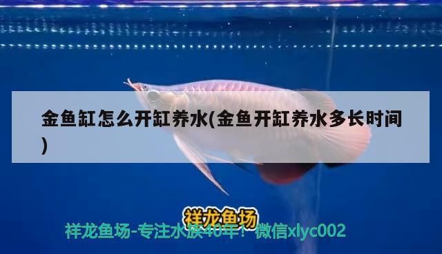 金魚缸怎么開缸養水(金魚開缸養水多長時間)