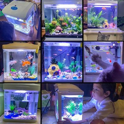 森森魚缸玻璃炸了：森森魚缸玻璃炸裂怎么辦