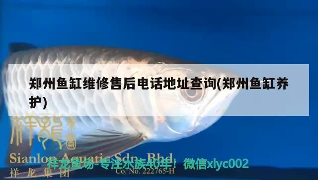 鄭州魚缸維修售后電話地址查詢(鄭州魚缸養(yǎng)護(hù))