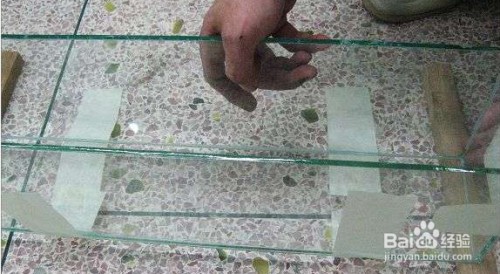 魚苗死亡（魚苗死亡原因）