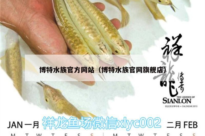 博特水族官方網(wǎng)站（博特水族官網(wǎng)旗艦店）