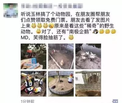 河南都市先鋒匯豐家飾有限公司（河南都市先鋒匯豐家飾有限公司怎么樣）