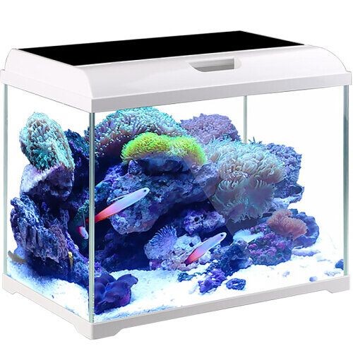 超白魚缸品牌排行：超白魚缸品牌排行榜