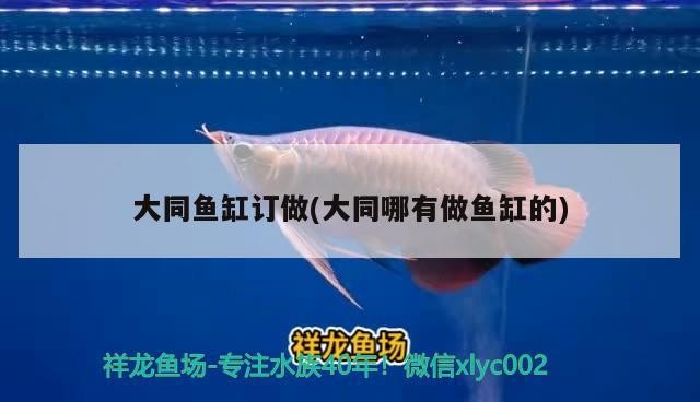 大同魚(yú)缸訂做(大同哪有做魚(yú)缸的)