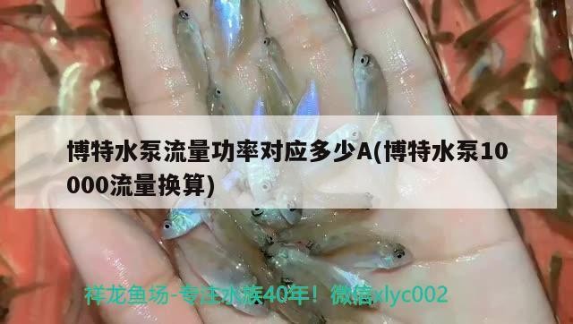 博特水泵流量功率對應多少A(博特水泵10000流量換算)