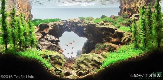 平頂山市新華區濱豪水族館（平頂山市新華區濱豪水族館電話）