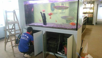 超市魚缸養魚技術培訓視頻：尋找超市魚缸養魚技術培訓視頻的資源詳細介紹