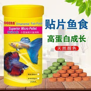 魟魚飼料營養均衡指南，如何判斷魟魚飼料質量