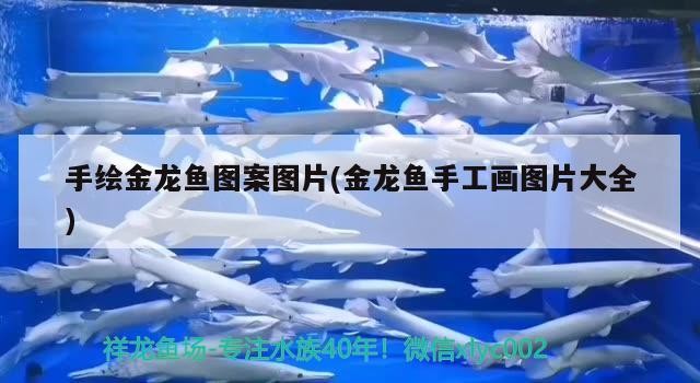 手繪金龍魚圖案圖片(金龍魚手工畫圖片大全)