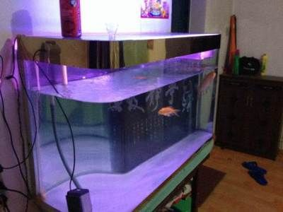 搬家魚缸里的魚怎么辦