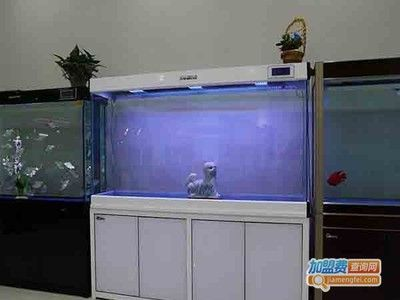 名亨魚(yú)缸和森森魚(yú)缸區(qū)別是什么