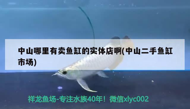 中山哪里有賣魚缸的實體店啊(中山二手魚缸市場)
