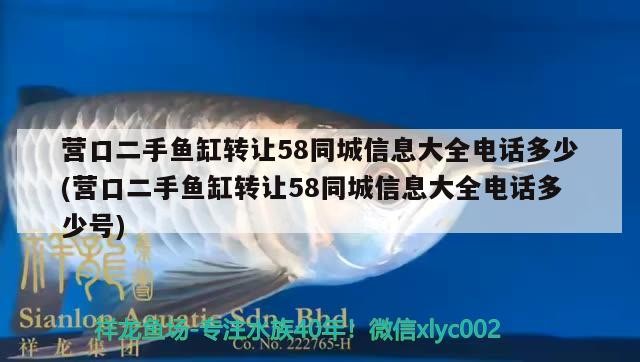 營口二手魚缸轉讓58同城信息大全電話多少(營口二手魚缸轉讓58同城信息大全電話多少號)