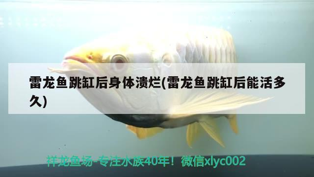 西安松寶魚缸代理電話地址（我想知道松寶魚缸的標志是什么樣的，我感覺）