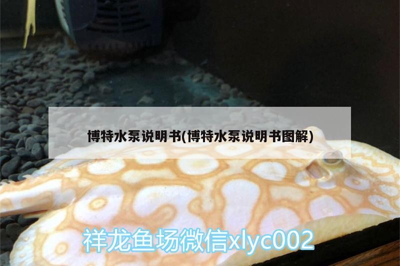 博特水泵說明書(博特水泵說明書圖解)