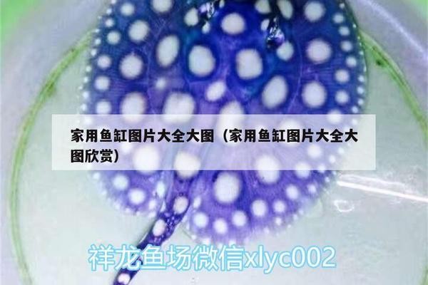 上海市普陀區健樂緣水族館（上海市普陀區健樂緣水族館地址）