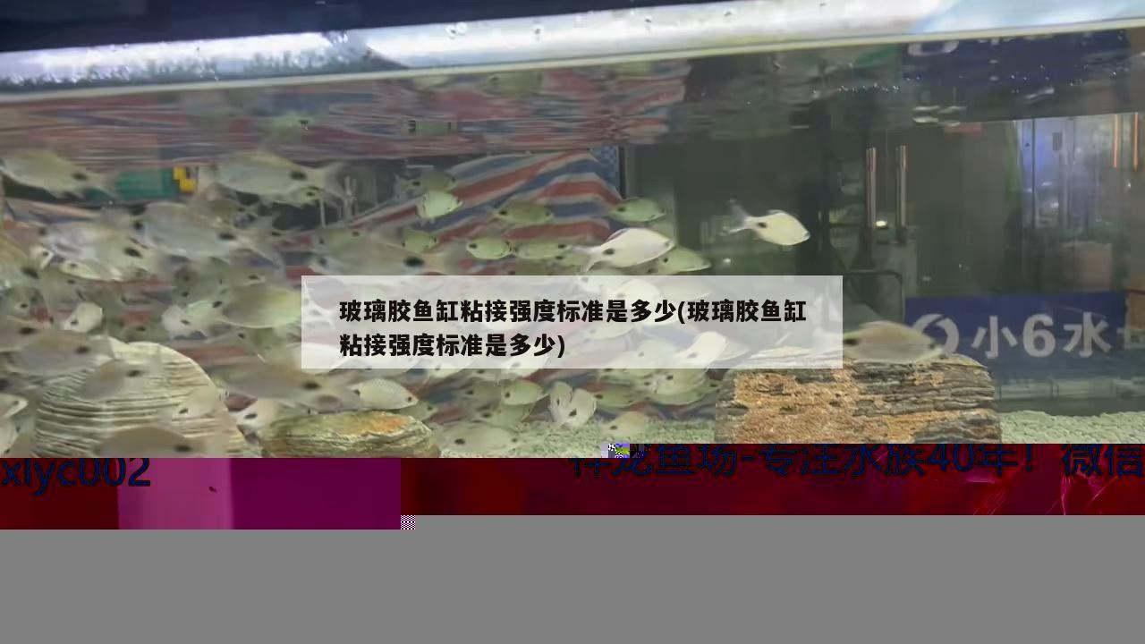 周口二手魚缸轉讓信息網最新(咸陽二手魚缸轉讓)