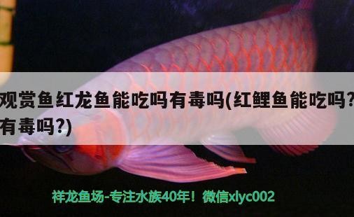 玉溪魚缸維修店地址在哪里呀(玉田哪里有賣魚缸的)