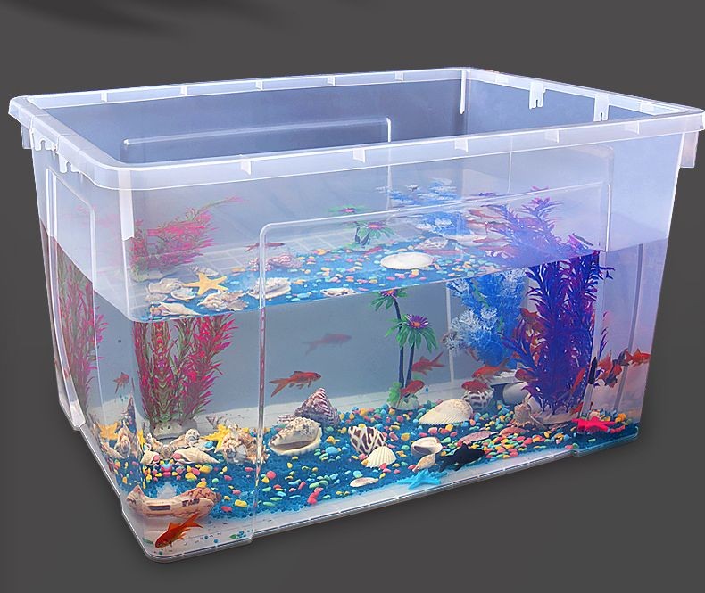 超白魚缸容易出現劃痕：超白魚缸劃痕怎么辦
