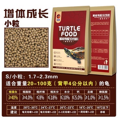 10厘米小紅龍魚魚苗圖片