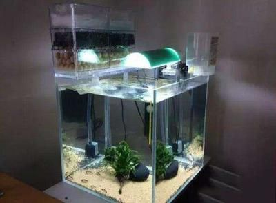 超白缸魚缸滴流過濾承重：超白缸與滴流過濾系統(tǒng)的組合在使用時需要注意承重問題