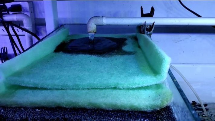 名洋世紀水族館（名洋漁具有限公司怎么樣）