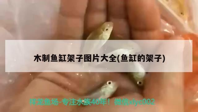 木制魚缸架子圖片大全(魚缸的架子)