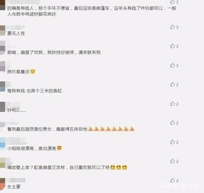 繁殖后魟魚缸環(huán)境調(diào)整，魟魚繁殖后水質(zhì)監(jiān)控技巧