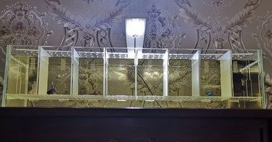 白玻璃魚(yú)缸冬天可以放在戶外嗎：玻璃魚(yú)缸在冬季可以放在戶外嗎？ 白玻璃魚(yú)缸冬天可以放在戶外嗎：玻璃魚(yú)缸在冬季可以放在戶外嗎？ 魚(yú)缸百科 第3張