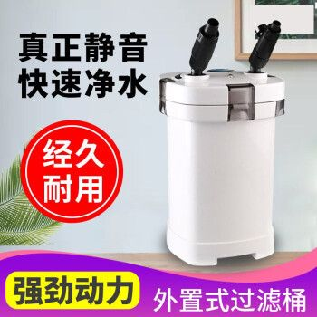 我的虎魚真菌感染了要怎么處理 森森504b:森森504b是一款缸外過濾器魚缸過濾器魚缸過濾桶的詳細信息 森森魚缸 森森504b:森森504b是一款缸外過濾器魚缸過濾器魚缸過濾桶的詳細信息 森森504b:森森504b是一款缸外過濾器魚缸過濾器魚缸過濾桶的詳細信息 森森魚缸