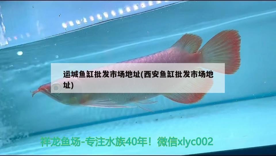漯河哪里有賣魚缸的地方啊電話的，河南漯河哪里有賣魚缸的地方啊電話的信息別忘了關注祥龍魚場哦