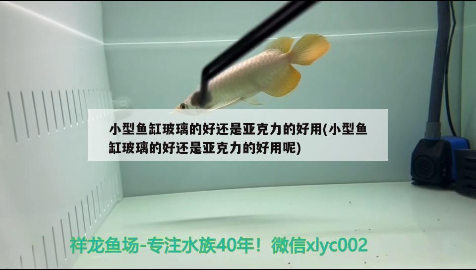 小型魚缸玻璃的好還是亞克力的好用(小型魚缸玻璃的好還是亞克力的好用呢)