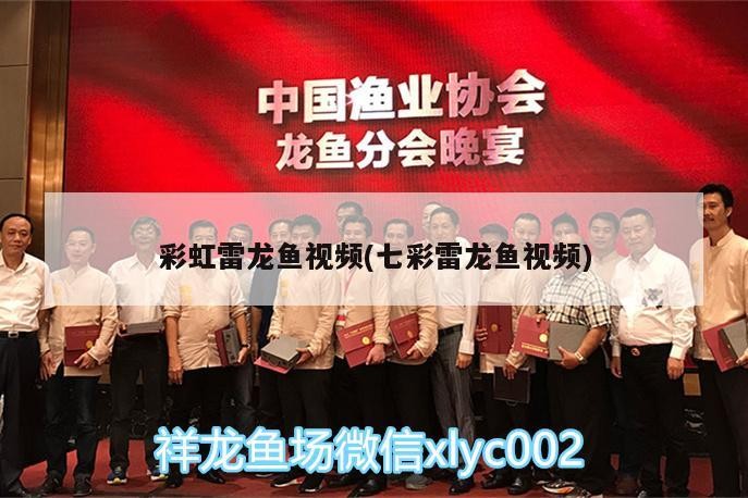 彩虹雷龍魚視頻(七彩雷龍魚視頻)